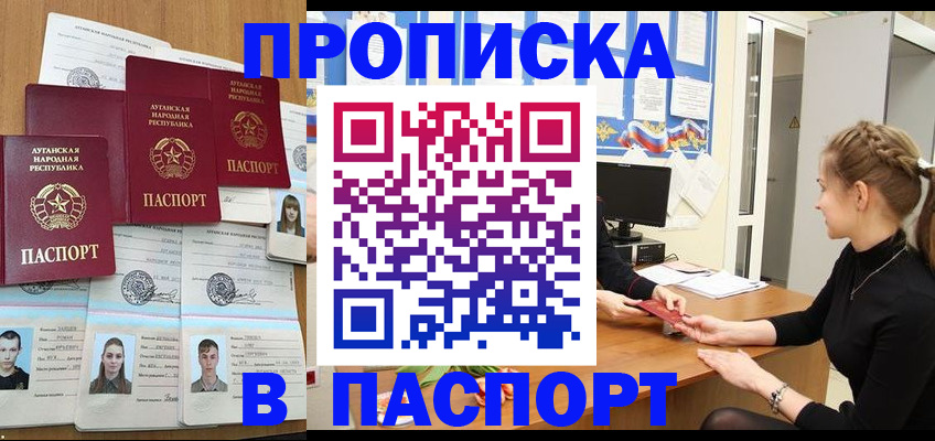 прописка поиск в Сельцо